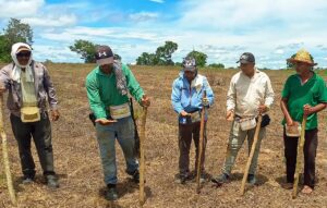 Campesinos de Buenavista siembran en paz semillas de diferentes productos agrícolas.